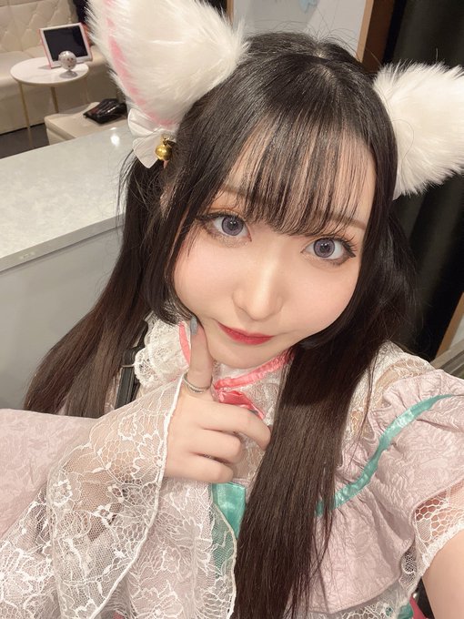 Dolly Catsのツイート