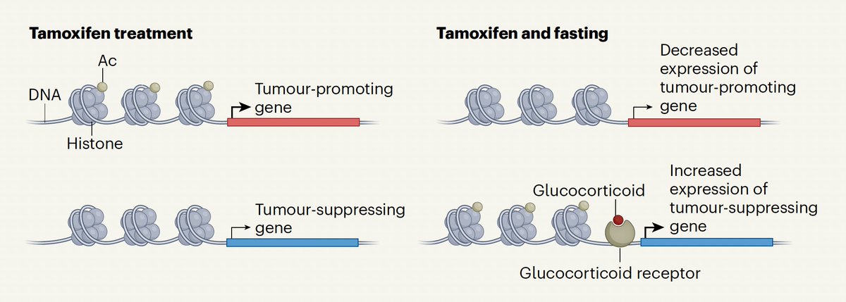 Eric Topol tweet media
