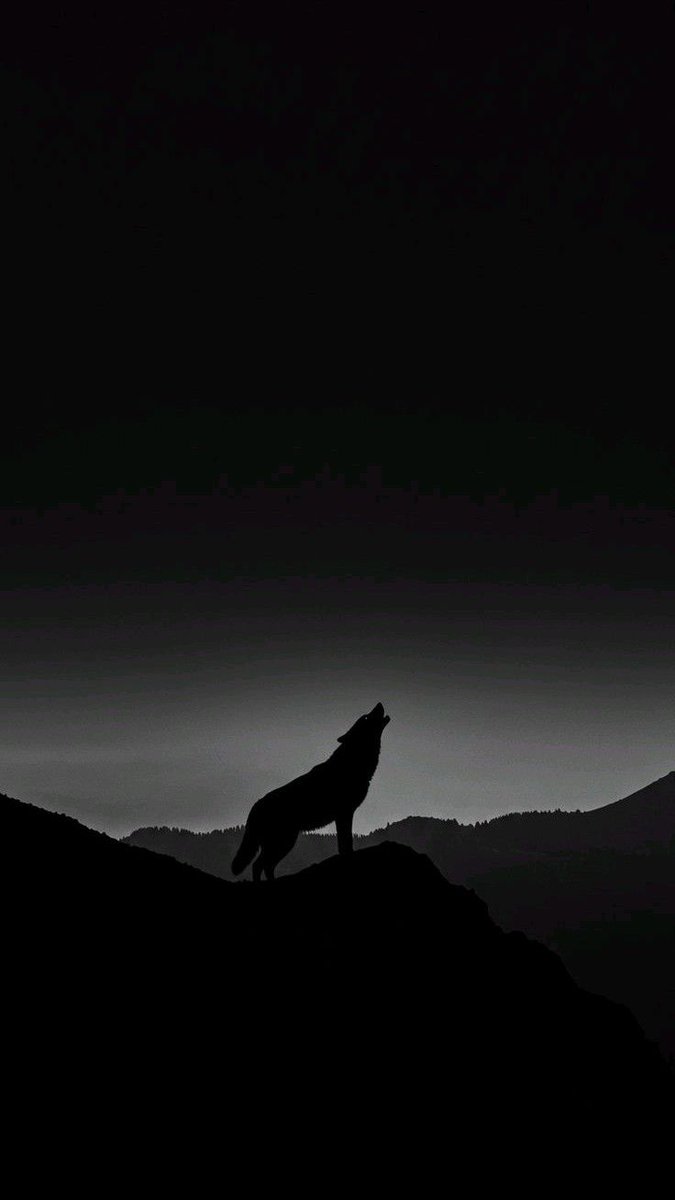 Majed_wp12's tweet photo. The wolf keeps howling at the moon every night, even after the moon is gone https://t.co/YgTjT5OFtr