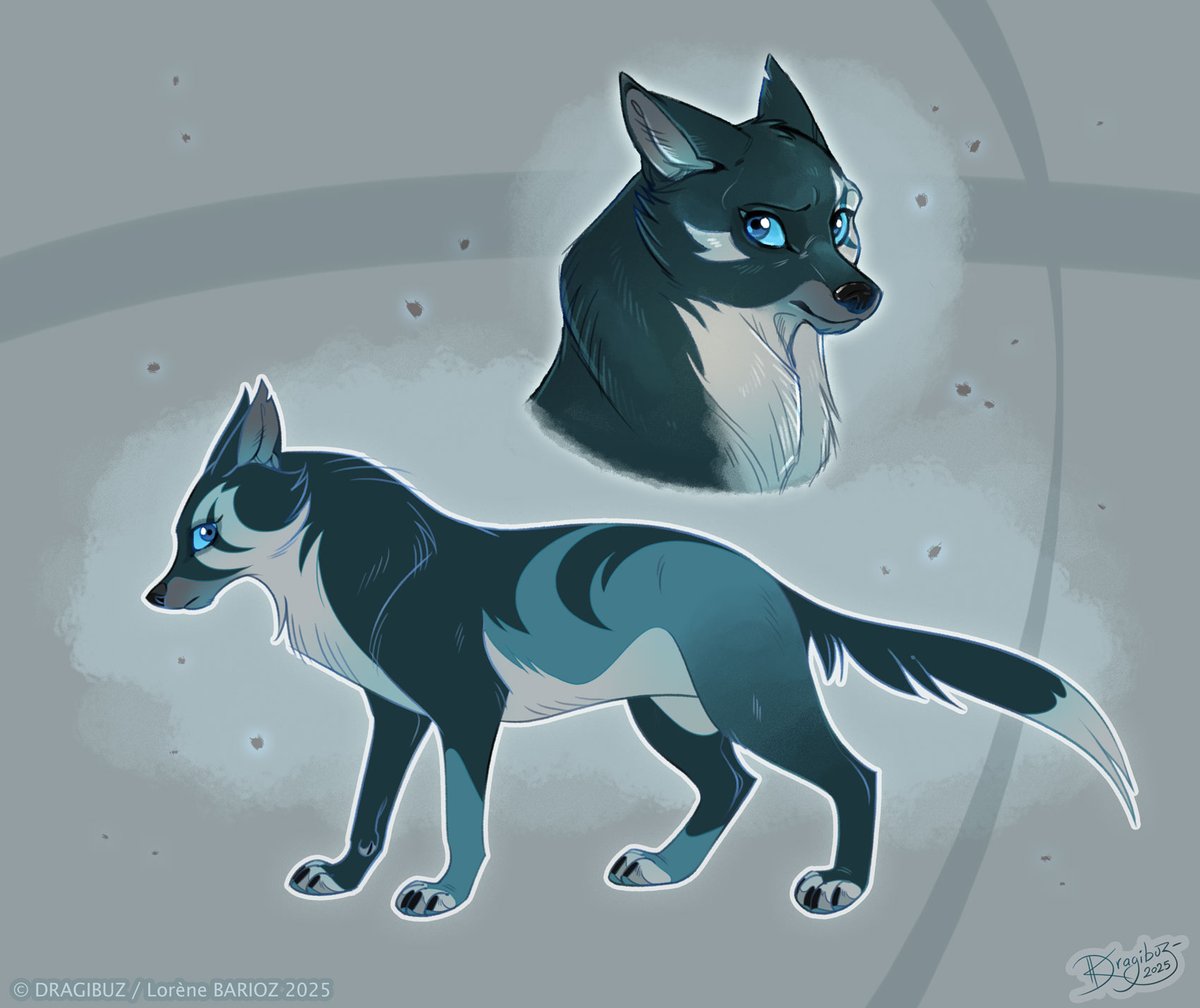 Sketchy Wolf Design for Fun (again) ~ 🖤🤍💙
How should I name her ?