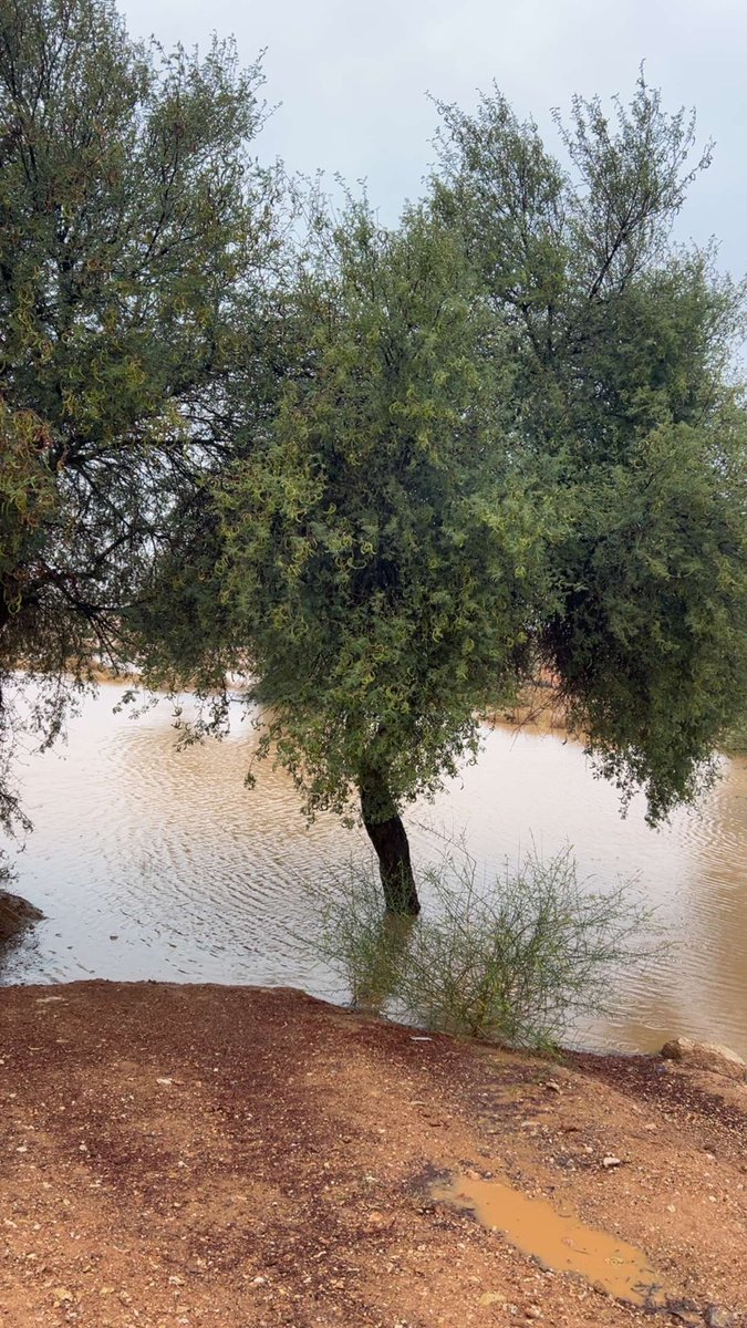 رماح اليوم ☁️😍