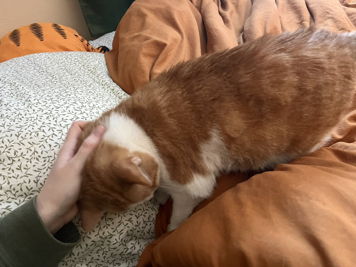 norberg & co tweet media