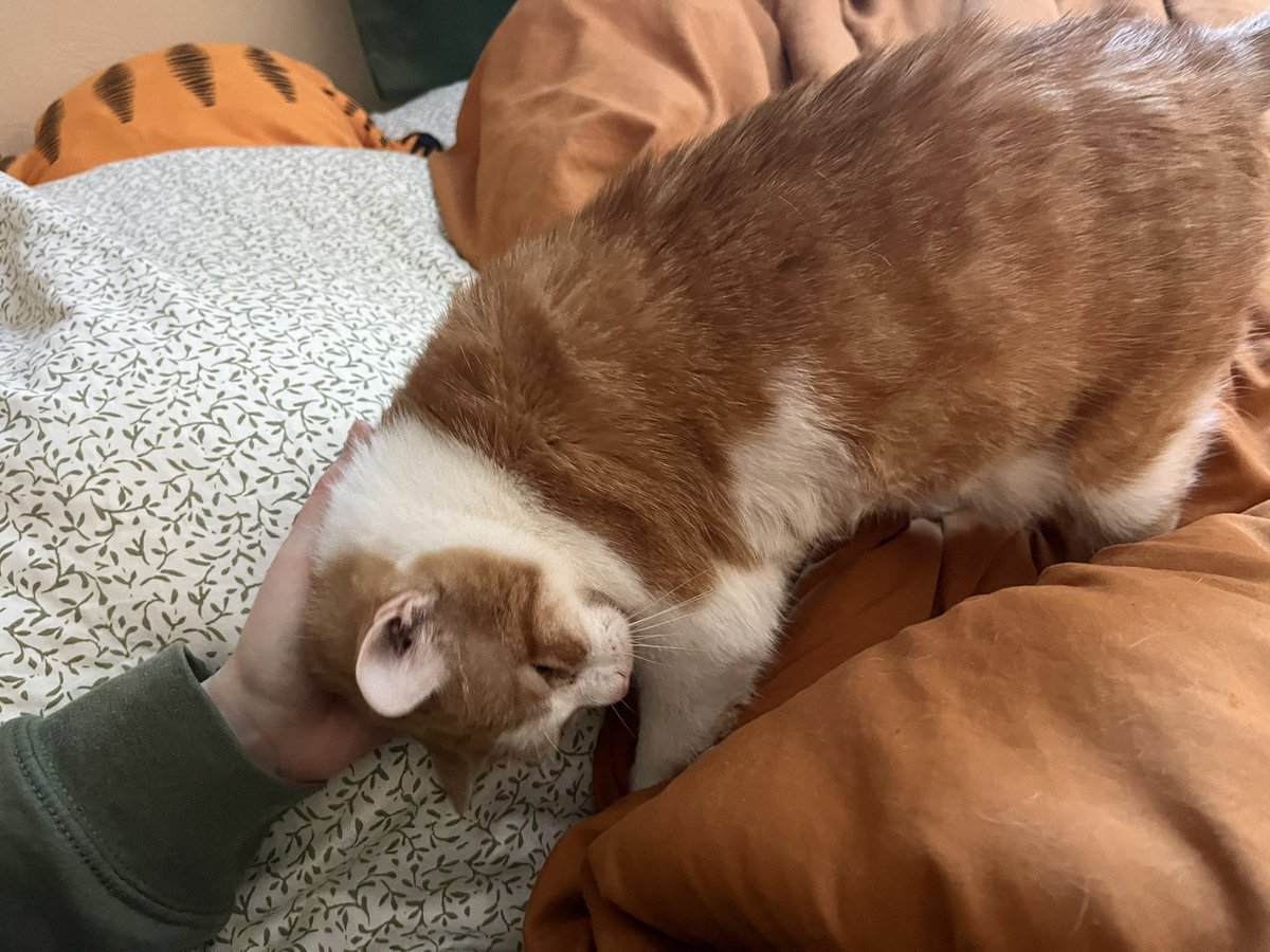 norberg & co tweet media