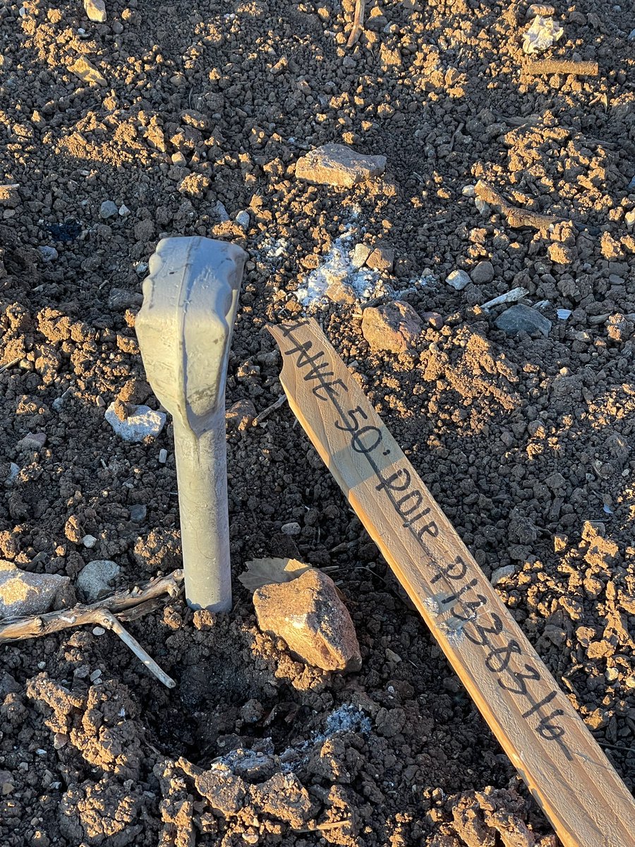 Eric Bryn tweet media