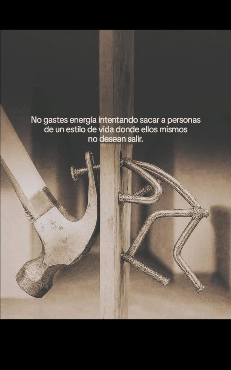 Disciplina tweet media