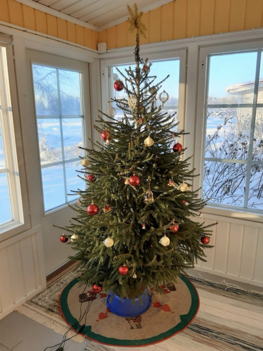 PK-35:n joulukuusikampanja yhä käynnissä! 🔴⚫

🎄 Jouluksi kauniita, viljeltyjä joulukuusia. Kokoluokka 160 cm – 180 cm ja 200 cm – 220 cm. Vain 35 ja 39 euroa.

Vielä on pari kymmentä joulukuusta ostettavissa: edustus.pk-35.fi/kauppa/

#PalloKerho35 #YksiYhteinen #Ykkösliiga