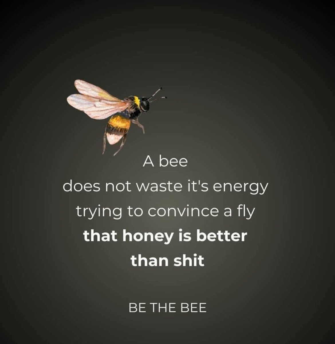 4KobusWiese's tweet photo. https://t.co/S3lz8nvmaN