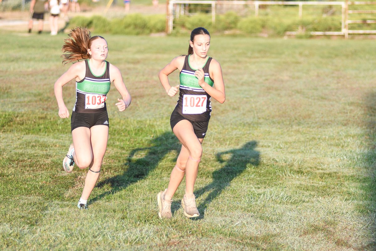 Decatur's Maddyx Coffman and Paradise's Allie McCormick and Taryn Stoltz were recently named as all-state cross country runners by the Texas Girls Coaches Association for their performances in the 2025 season. 

STORY — wcmessenger.com/articles/decat…