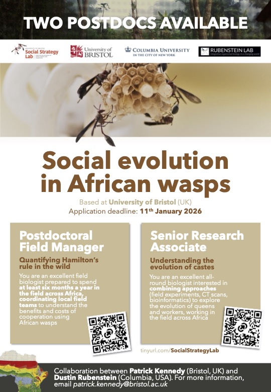 Dustin Rubenstein tweet media