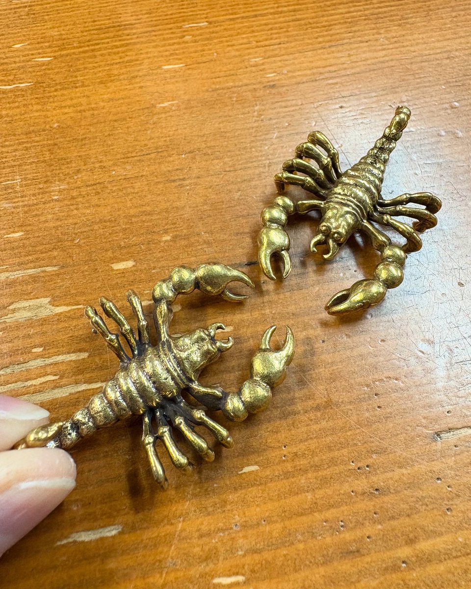 ✨ 本日もありがとうございました🙌 強風🌬️少しはおさまりましたかね