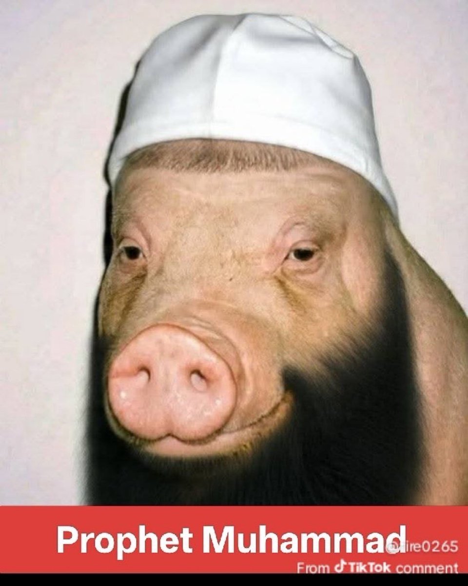 Xem_all's tweet photo. @AllahGreatQuran The fuck it doesn’t. https://t.co/VJYZ0bAd79