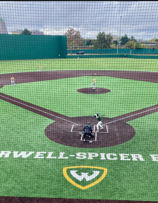 D2 Baseball tweet media