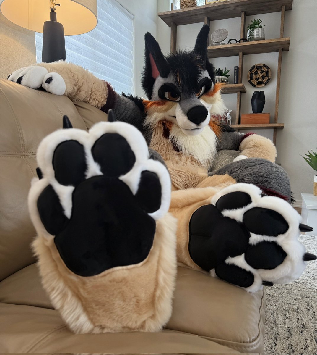 Harvest 🍁🍂 FWA tweet media