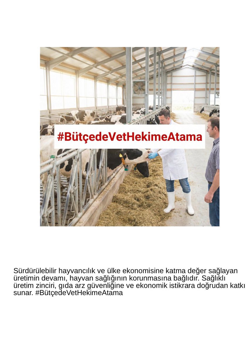 Polat Türkoğlu tweet media