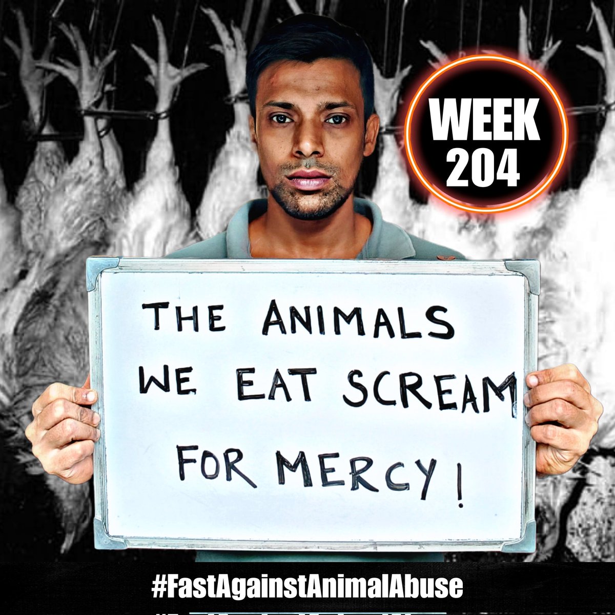 VeganProphet's tweet photo. Finished Week 204 of my weekly 24 hour dry fast for animal abuse awareness. This week’s message: The Animals We Eat, Scream For Mercy. Awareness begins with compassion, let’s stand against animal suffering and promote kindness. #FastAgainstAnimalAbuse #StopAnimalCruelty #BeKind https://t.co/78ItvJ2fXu