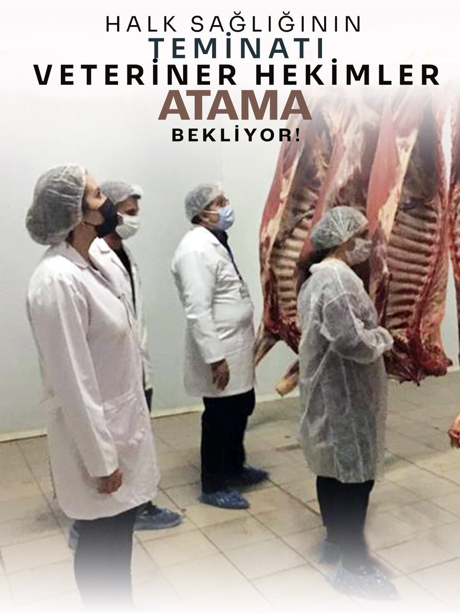 Mehmet BOSTANCI tweet media