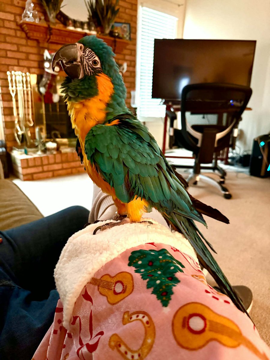 Bird dude tweet media