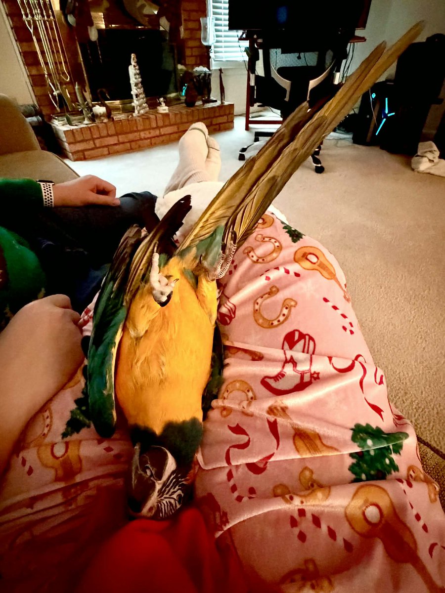 Bird dude tweet media