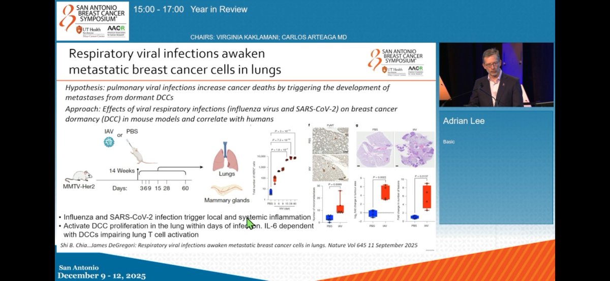 luiztorresMD's tweet photo. Preclinical studies show that respiratory viral infections, such as influenza and SARS-CoV-2, can "awaken" dormant tumor cells in the lung in breast cancer models.

🫁 Viral infection generates an inflammatory environment in the lung, particularly via the IL-6 pathway, which promotes the proliferation of these cells and reduces local immune surveillance.

#SABCS25