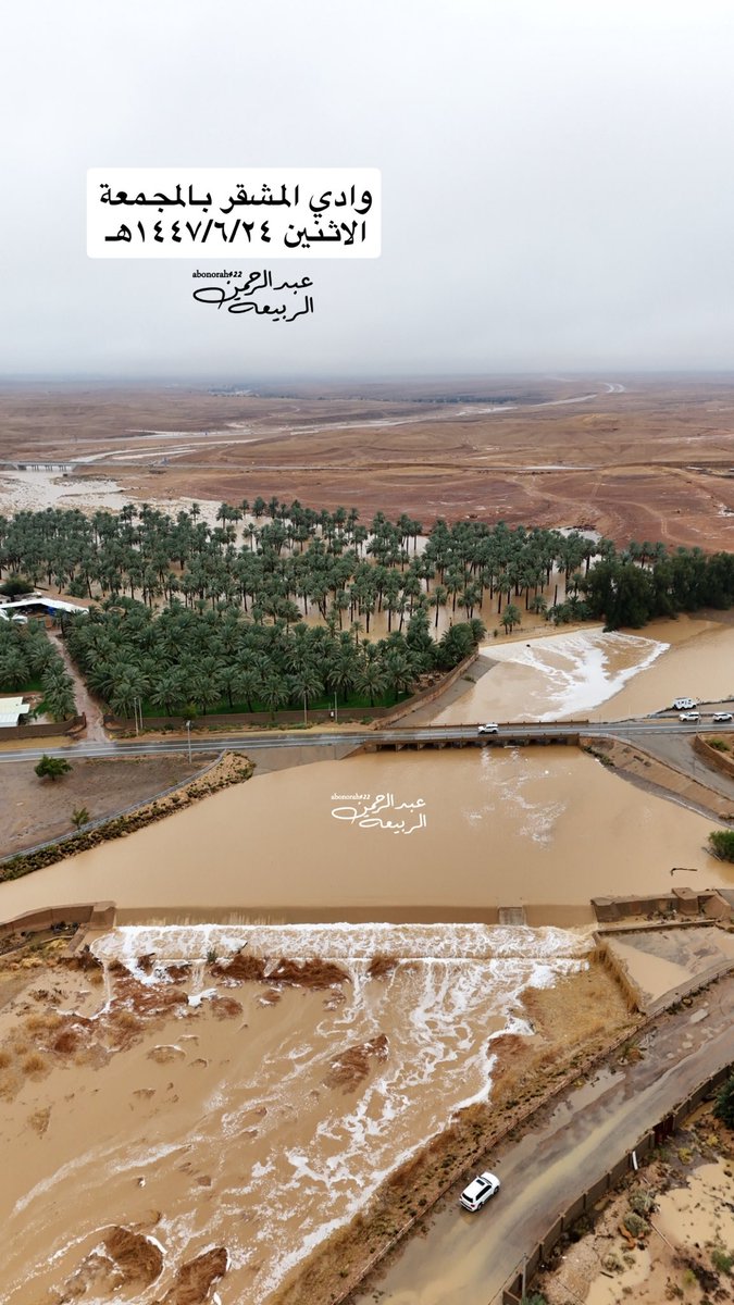 عبدالرحمن الربيعة tweet media