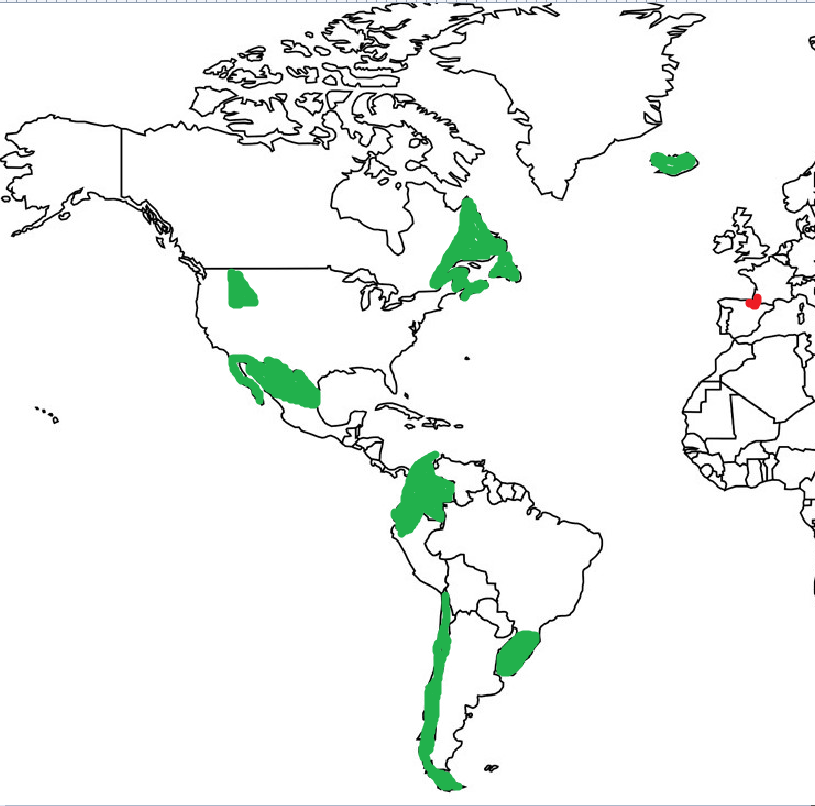 Rojo: Vascos de Mentira
Verde: Vascos de Verdad