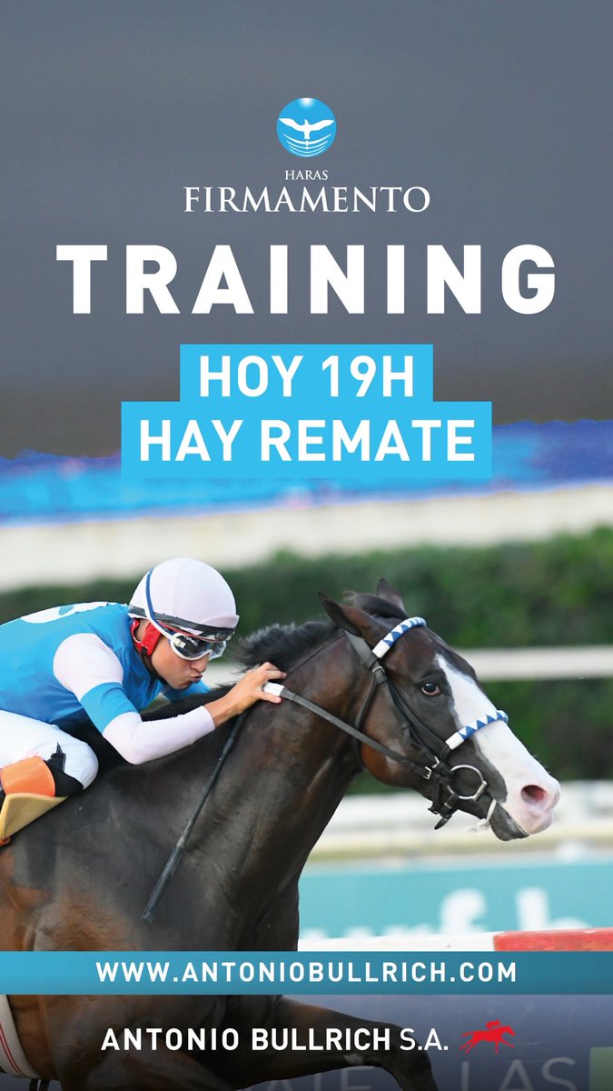 HOY REMATE 19H 
Venta Training - Haras Firmamento

Virtual con Streaming en vivo

11 caballos en training criados por Haras Firmamento, hijos de The Great Day, Hit it a Bomb y Remote

Mas información en 👉🏻 antoniobullrich.com 

#remate #horse #turf #hipodromos #spc #caballos