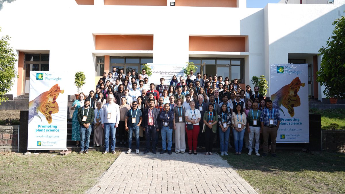 Ira Trivedi tweet media