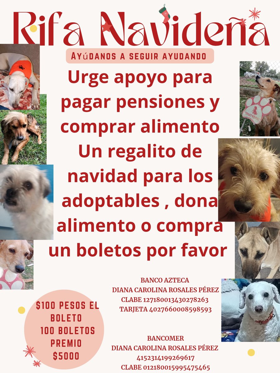 VIBRAmascotas's tweet image. Amigos , estas rifas tardan mucho , pero como sea es una ayuda para los peludos, aunque sea 1 boleto que se venda a la semana ya es algo. 
Por favor 🙏🏼 ayúdanos a seguir ayudando. 
Tenemos a 3 perritos en pensión, para los cuales no hay ninguna solicitud de adopción. 
3000 pesos…