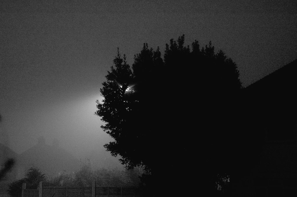 emilybakerphoto's tweet image. Layers of the night