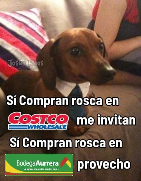 🇲🇽 México Mágico ✨ (@enmexicomagico) on Twitter photo 