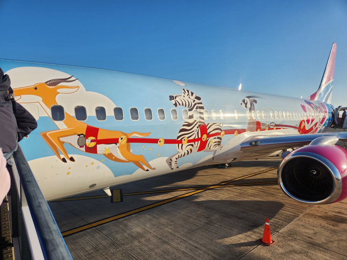 LynvanRooyen's tweet photo. #SantasNewSleigh only in South Africa! @FlySafair https://t.co/E4rLqhhsXl