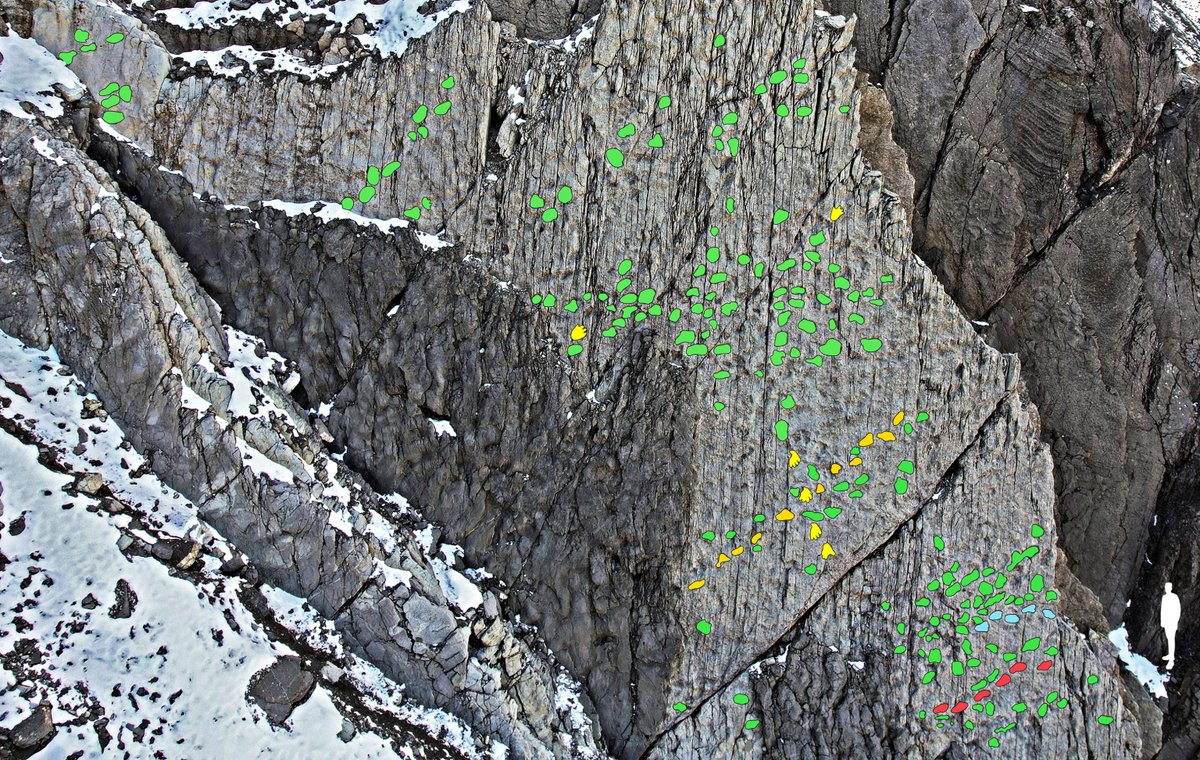 Agenzia_Ansa's tweet image. Scoperte migliaia di orme di dinosauri nel Parco dello Stelvio, lasciate 210 milioni di anni fa da branchi di grandi erbivori #ANSA ow.ly/Gpxo50XJL0o
