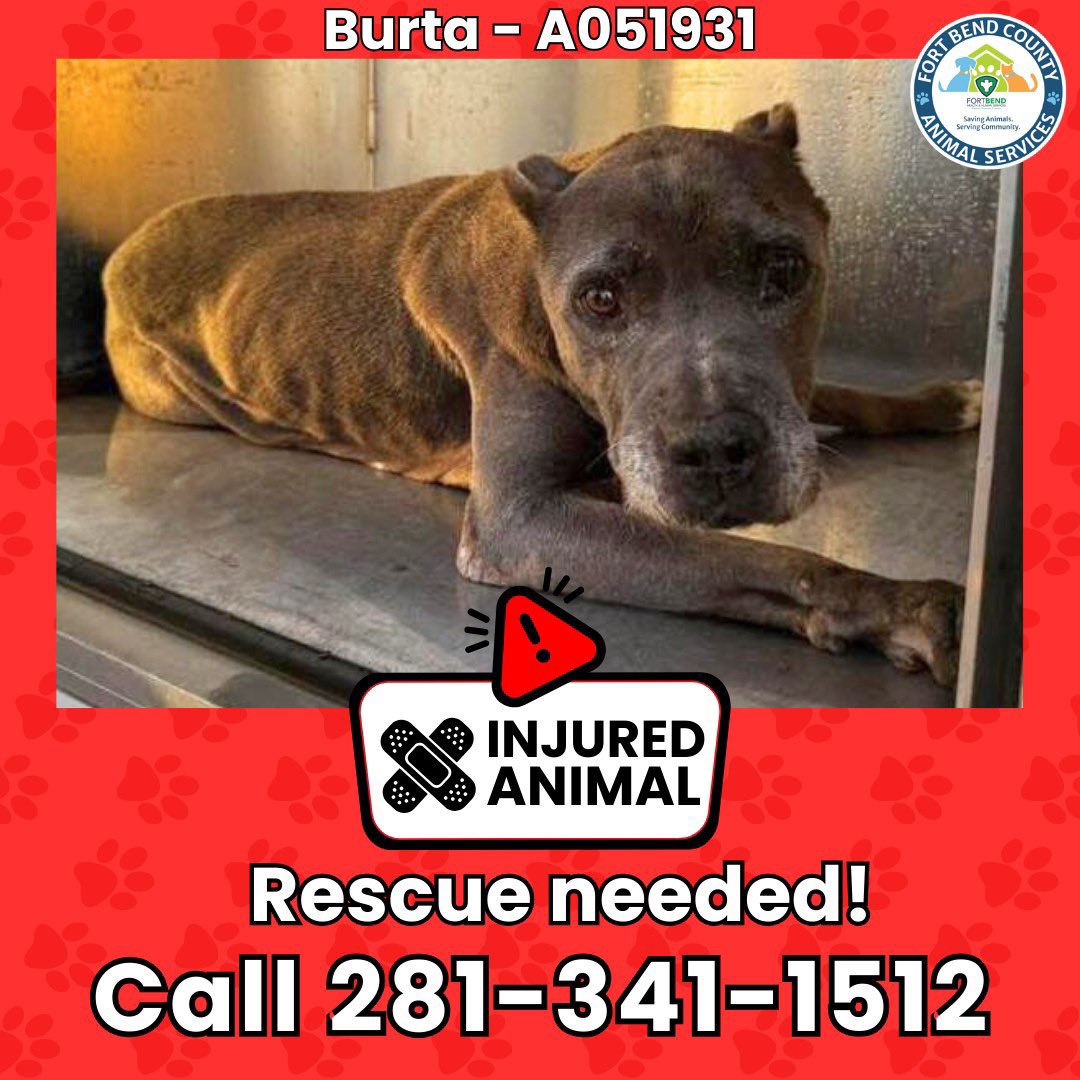 Fort Bend Animal Services tweet media
