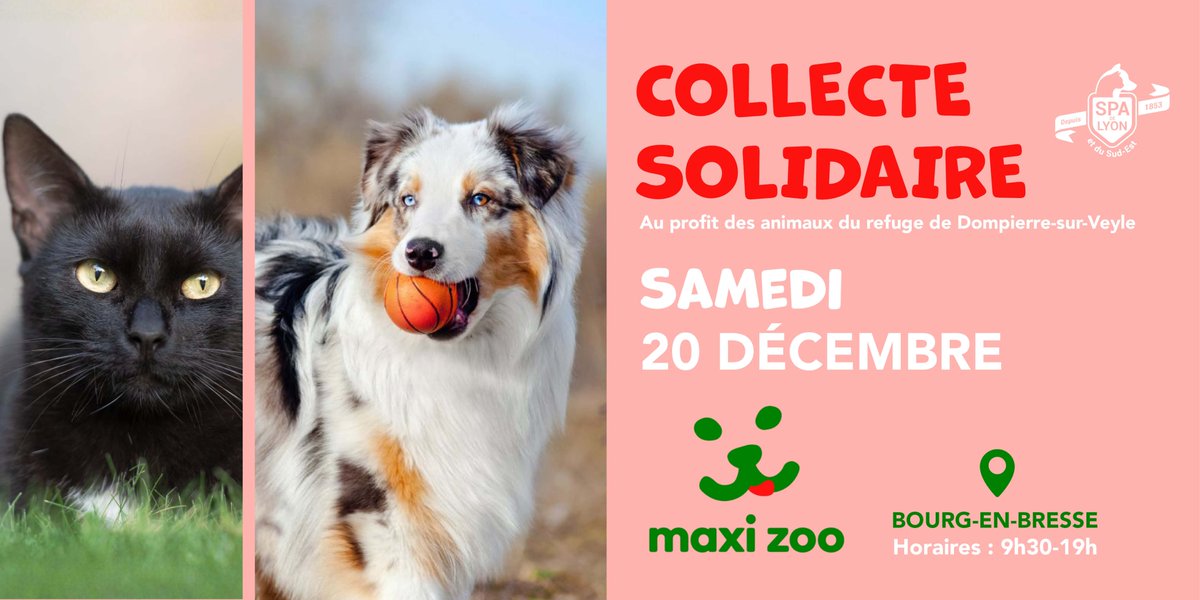 SPA de Lyon tweet media