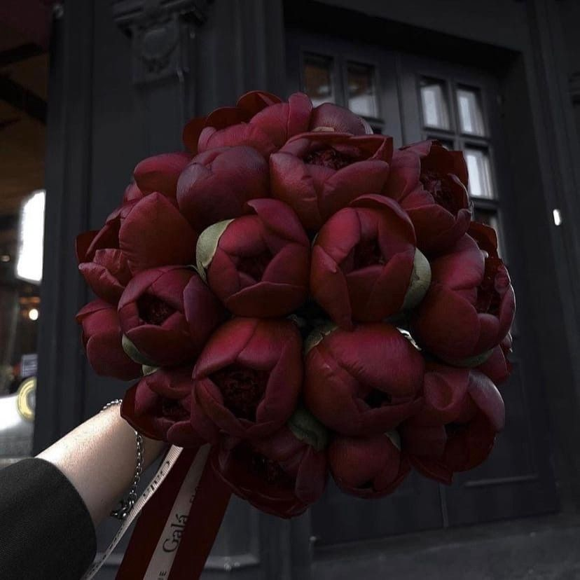 lavieestbelIe's tweet image. 