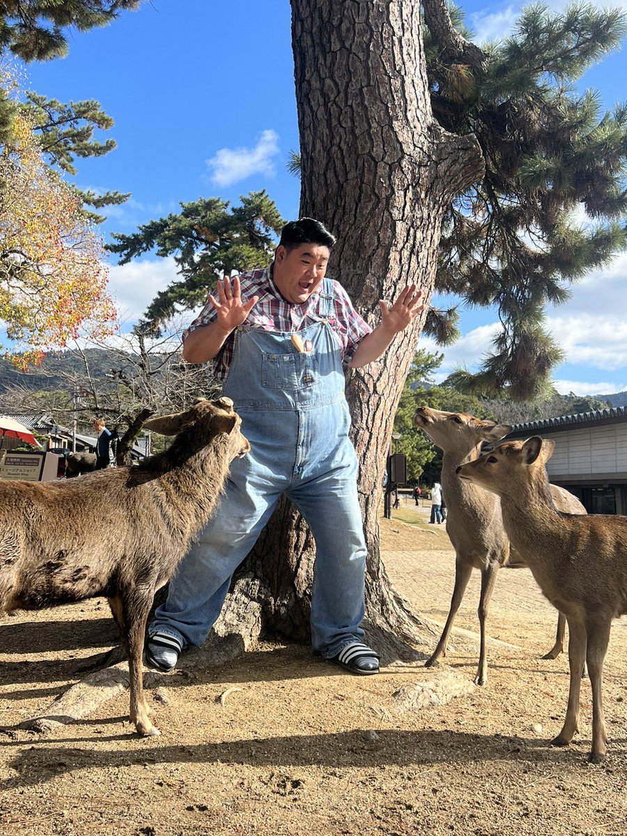 とっさん (@tossany) / Posts / X