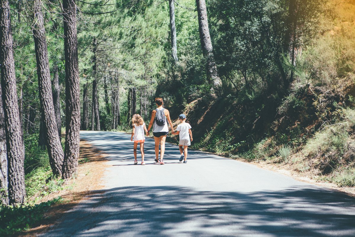 Forests keep us healthy. It’s where the tweets are real, the smells are fresh, and the air is cool. Even just a quick trek in the woods leaves you feeling refreshed.
Thanks to the forest landowners whose hard work and stewardship ensure we have thriving, healthy forests to enjoy!