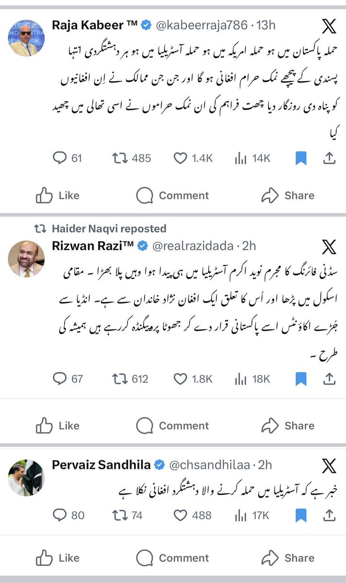 آسٹریلیا میں جوں کی دہشت گردی کا واقعہ ہوا تو انڈین میڈیا اور جرنلسٹس نے پاکستانیوں پر ڈالنا شروع کیا ۔ پنجابی میڈیا اور پنجابی صحافیوں نے افغانوں پر ڈال دیا۔ اب آپ اندازہ لگا سکتے ہیں کہ پشتونوں، افغانوں ، بلوچوں اور سندھیوں کو کس قوم سے پالا پڑا ہے ۔