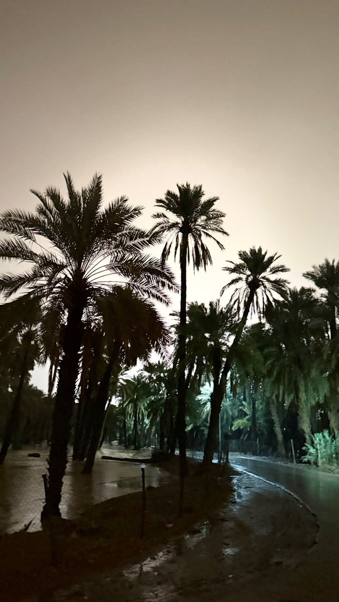 shutterr17's tweet image. December🤎