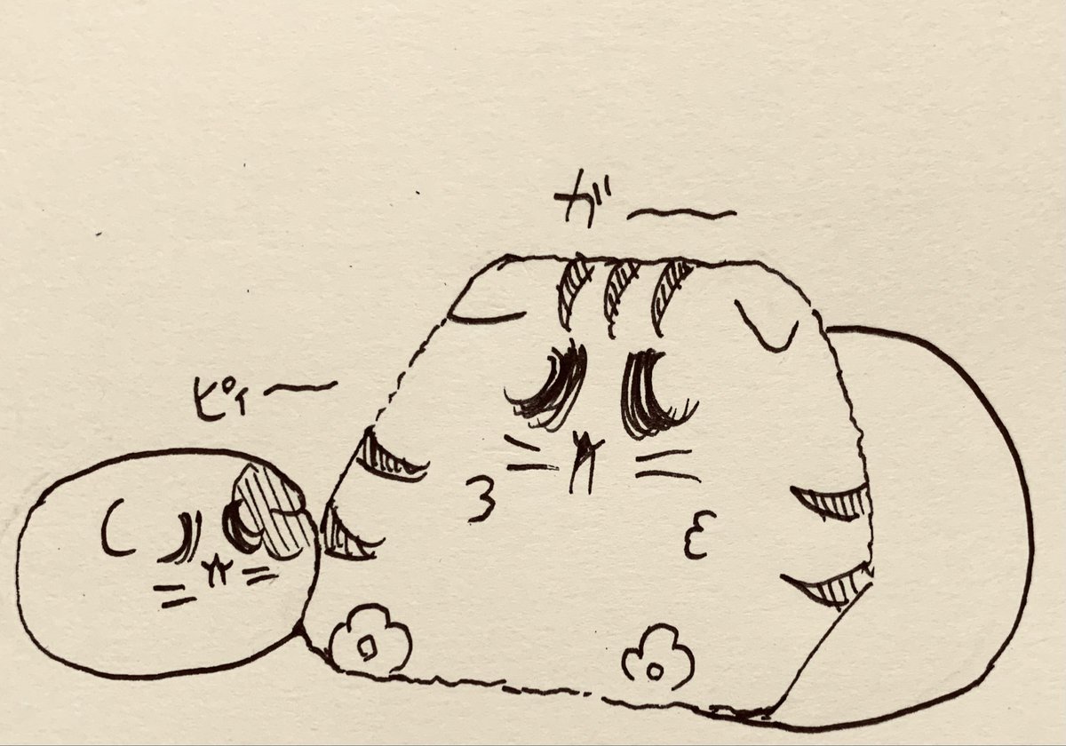 🐱🐯💤 