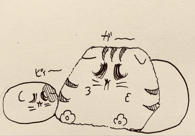 🐱🐯💤 