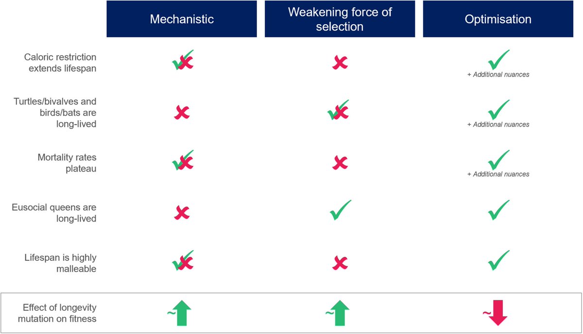 agingdoc1's tweet image. Why we age

By Michael Ringel | @M_S_Ringel 

👉"...Optimisation theories have several implications, including that lifespan should be relatively easy to manipulate by tapping into existing biological mechanisms, and that the geroscience hypothesis, which states that intervention…
