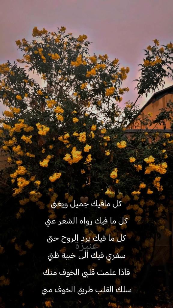 abdullah_IT1927's tweet photo. #عنيزة #القصيم https://t.co/jULuejEciN