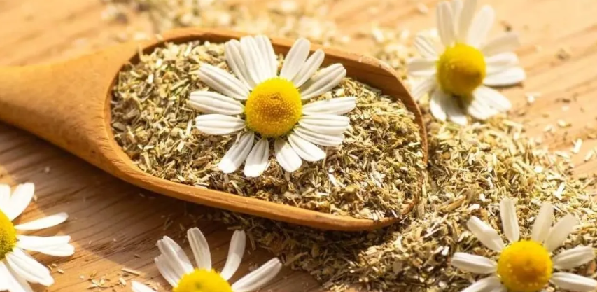 4 فوائد ذهبية لشاي البابونج.. لكن احذر من آثاره الجانبية 