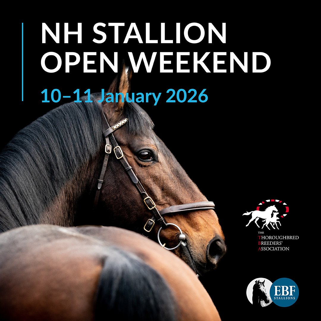 TheTBA_GB's tweet image. Want to get up close to NH Stallions like Golden Horn, Planteur and Cracksman? 

Come along to the NH Stallion Open Weekend on 10-11 January... 

Find out more 👉 ow.ly/KUv550XFGfm