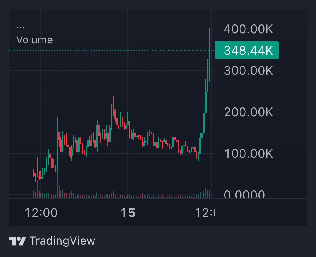 Can’t believe I found the next $labubu at 80k 

$dumplings is going so much higher