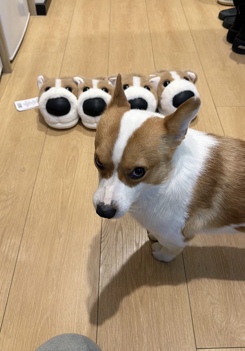 YUK! (@yukiikuy) / Posts / X