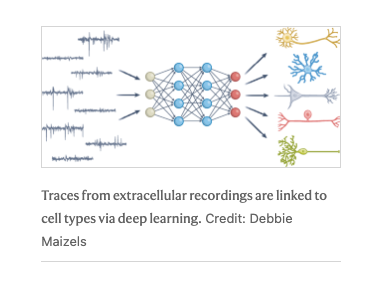Nature Methods tweet media