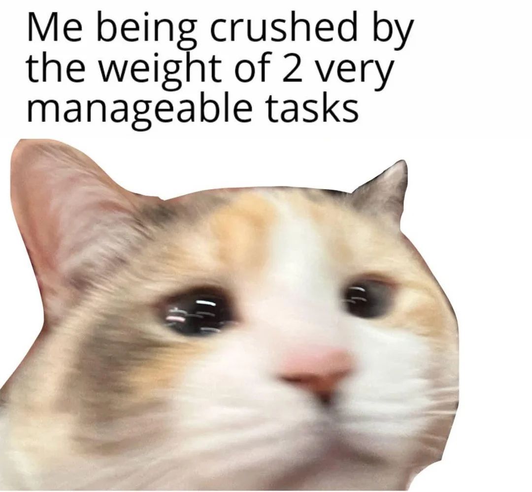 nocontextmemes's tweet image. 