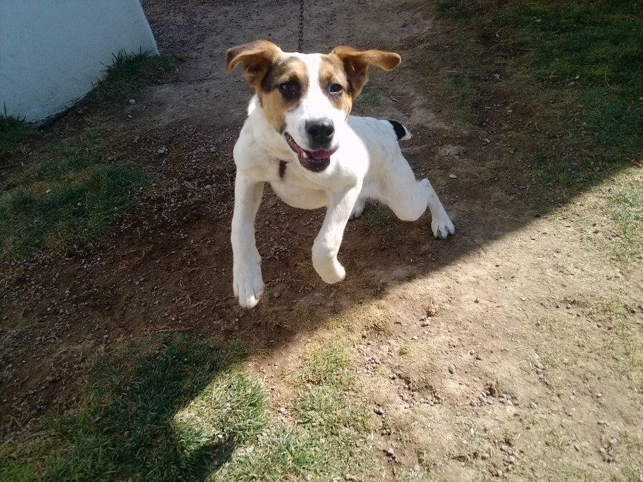 🌈💐ALEXA🇲🇽 Por primera vez, mi PresidetA 🇲🇽 tweet media